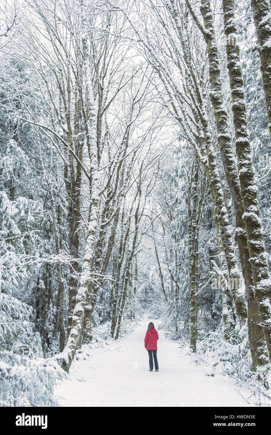 La donna nel bosco di abete rosso, Bainbridge Island, Washington, USA Foto Stock