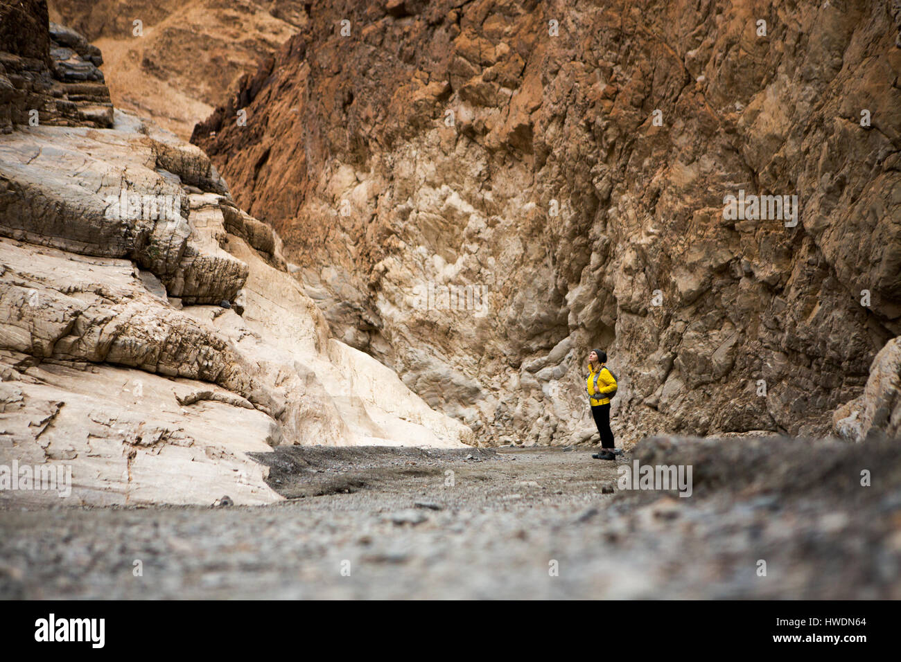 Trekker prendendo in luoghi, il Parco Nazionale della Valle della Morte, California, US Foto Stock