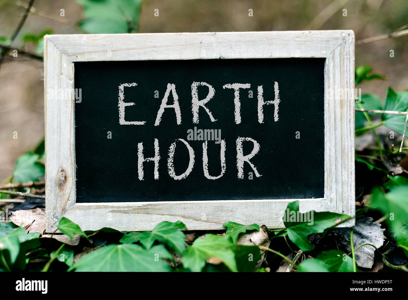 Primo piano di un di legno-incorniciato lavagna con il testo earth hour scritto in esso, disposto su un albero, circondato da foglie d'edera Foto Stock