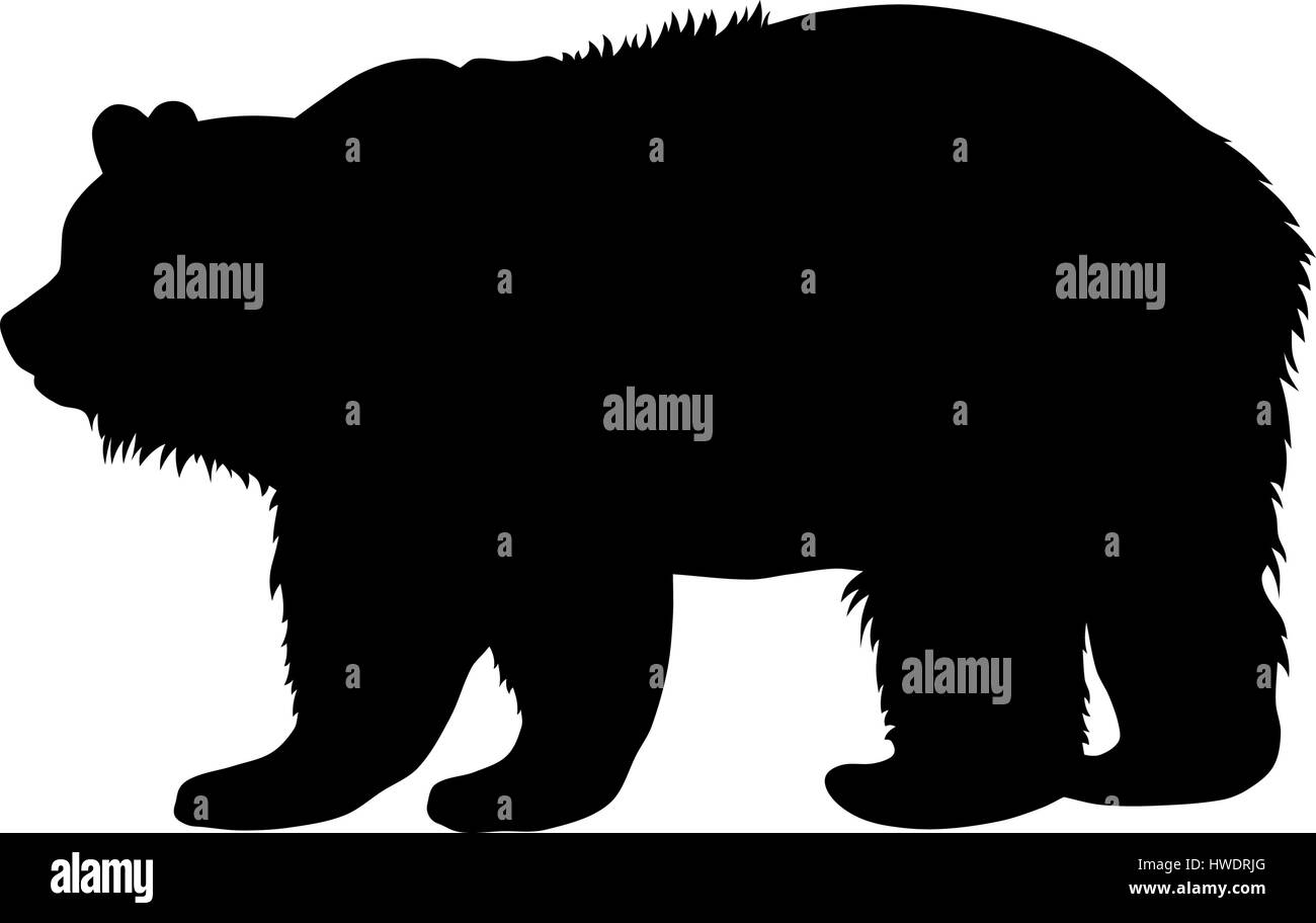 Illustrazione Vettoriale di orso bruno silhouette Illustrazione Vettoriale