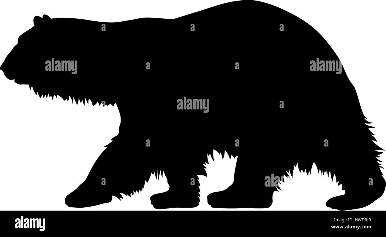 Illustrazione Vettoriale di orso polare silhouette Illustrazione Vettoriale