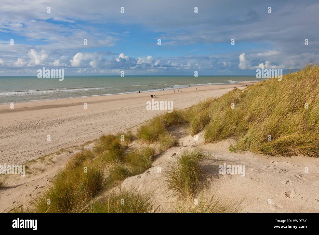 Francia, Pas de Calais, Stella Plage, la spiaggia e le dune di sabbia Foto Stock