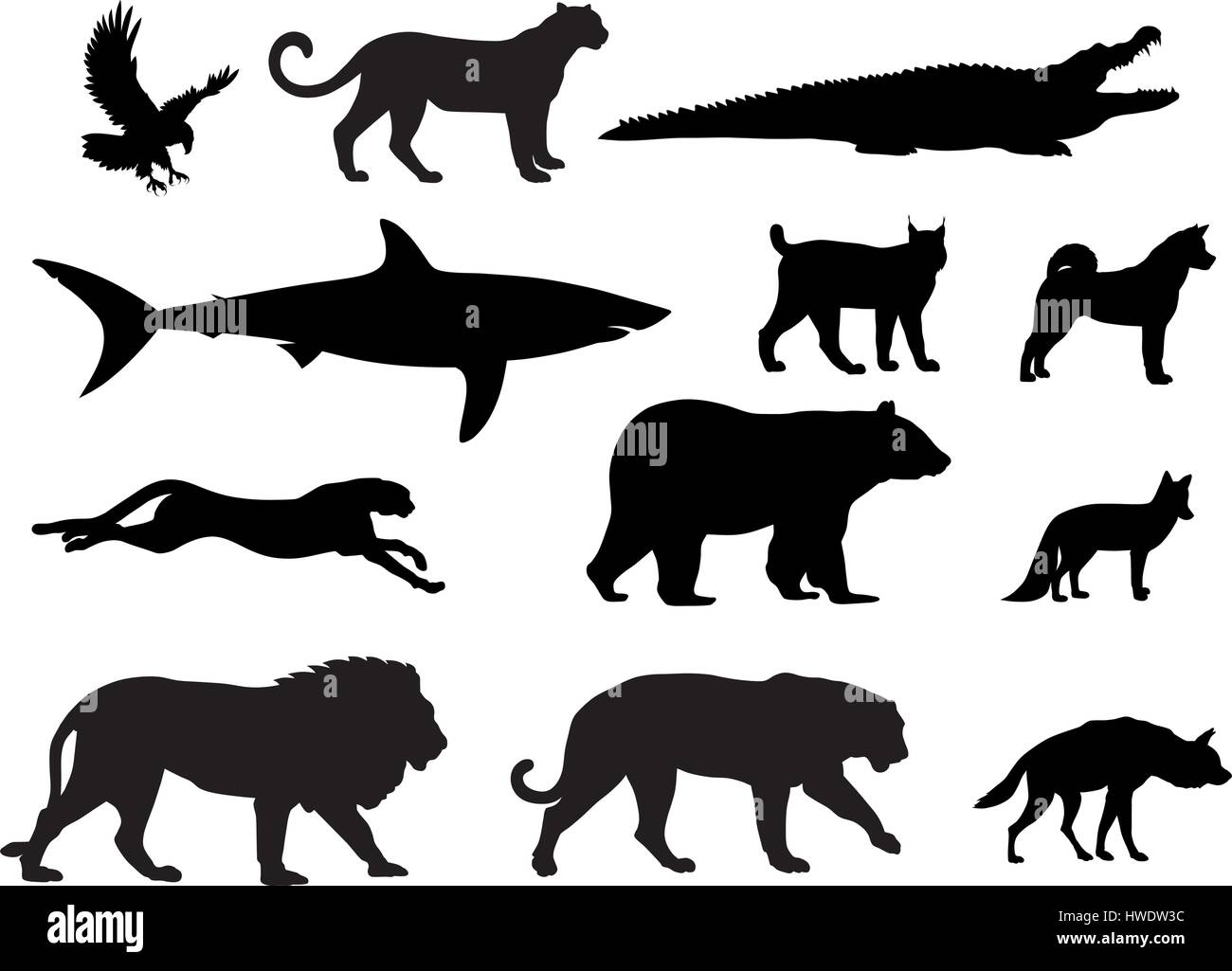 Illustrazione Vettoriale di vari predator sagome di animali Illustrazione Vettoriale
