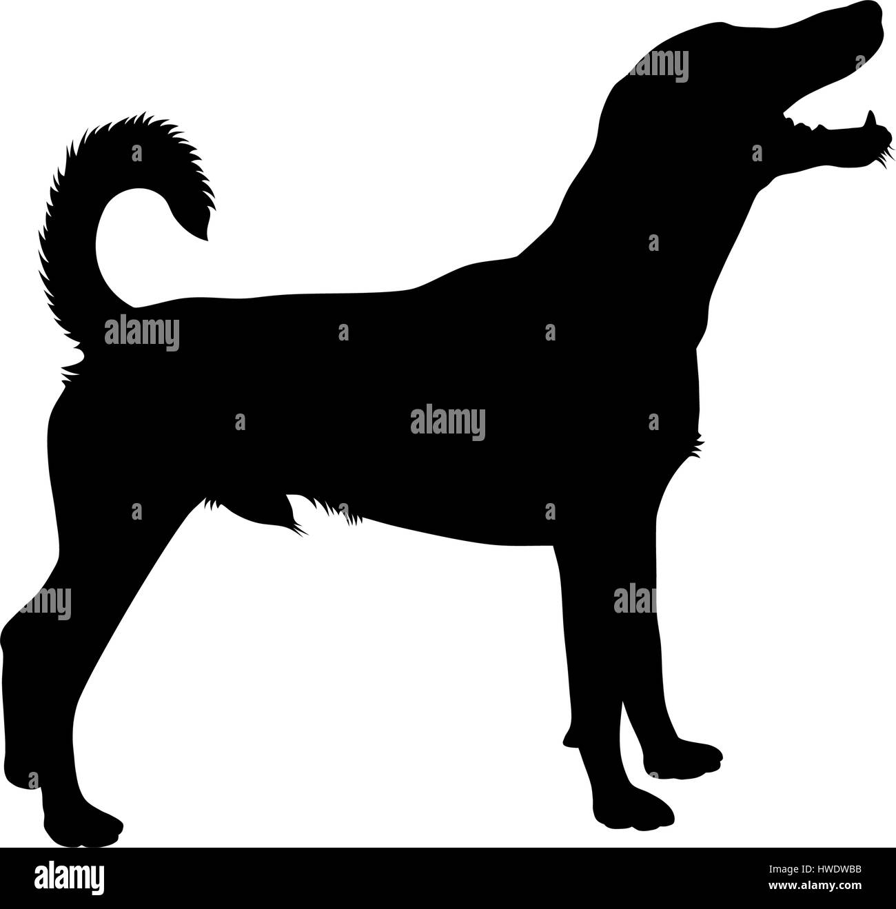 Dettagliata illustrazione vettoriale di cane da caccia silhouette Illustrazione Vettoriale