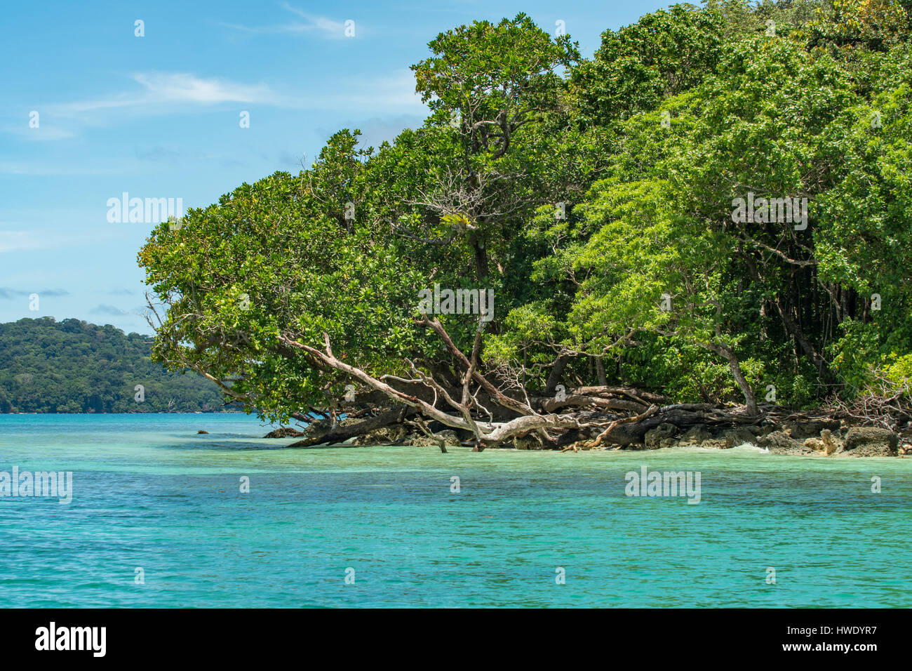 Costa di Ujung Kulon National Park, Java Foto Stock