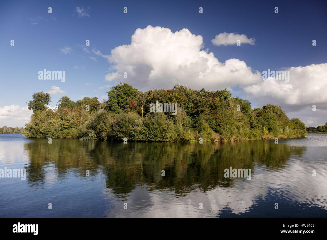 Isola del lago 29 in corrispondenza del Cotswold Water Park vicino a Ashton Keynes nel Wiltshire Foto Stock