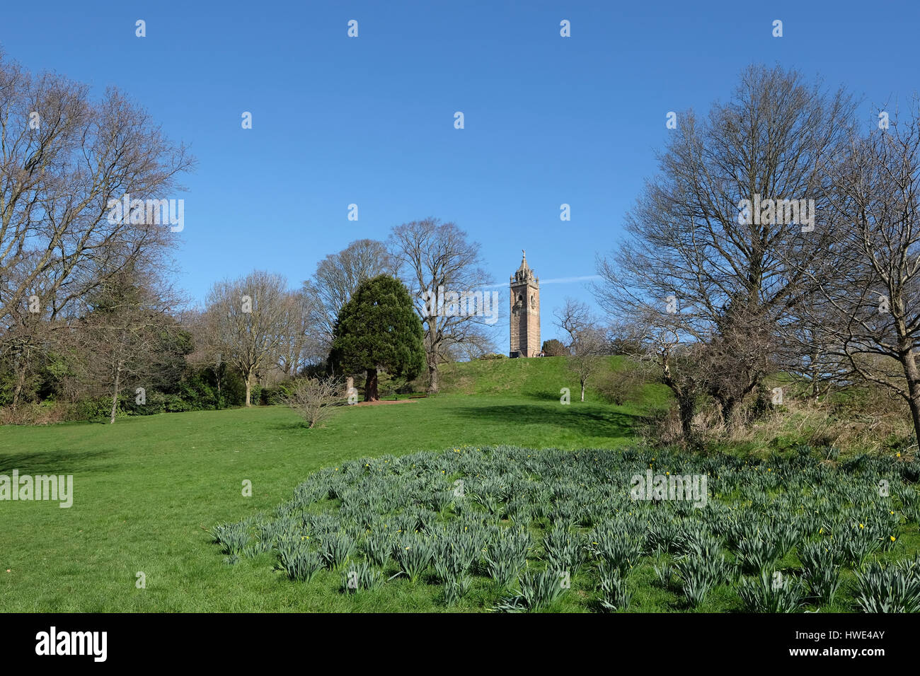 Cabot Tower a Bristol è un punto di riferimento che si erge sopra la città. Foto Stock