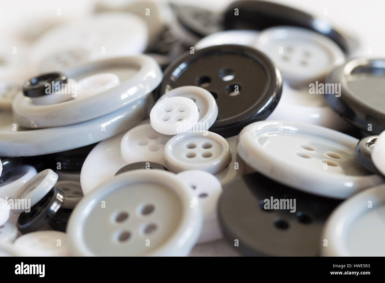 Casuale di pelo nero, bianco e grigio pulsanti. Foto Stock