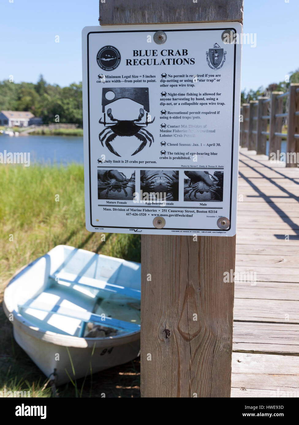 Il granchio blu regolamento segno posted in Orleans, Massachusetts il Cape Cod. Foto Stock