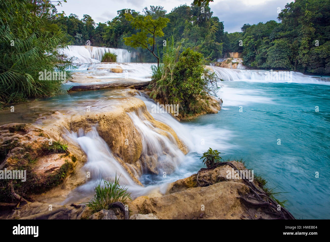 Le cascate di Agua Azul fluiscono nelle piscine azzurre del Chiapas,  Messico Foto stock - Alamy