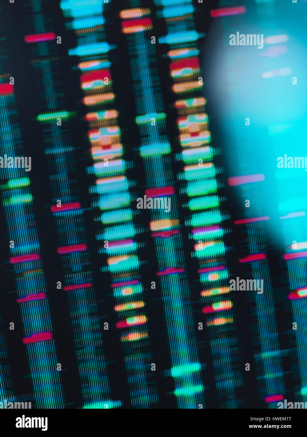 Ricerca di DNA, DNA finger print test risultati sullo schermo di un computer in laboratorio Foto Stock