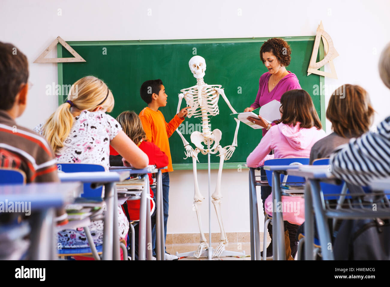 Insegnante e ragazzo accanto alla parte anteriore della classe, guardando il modello di scheletro Foto Stock