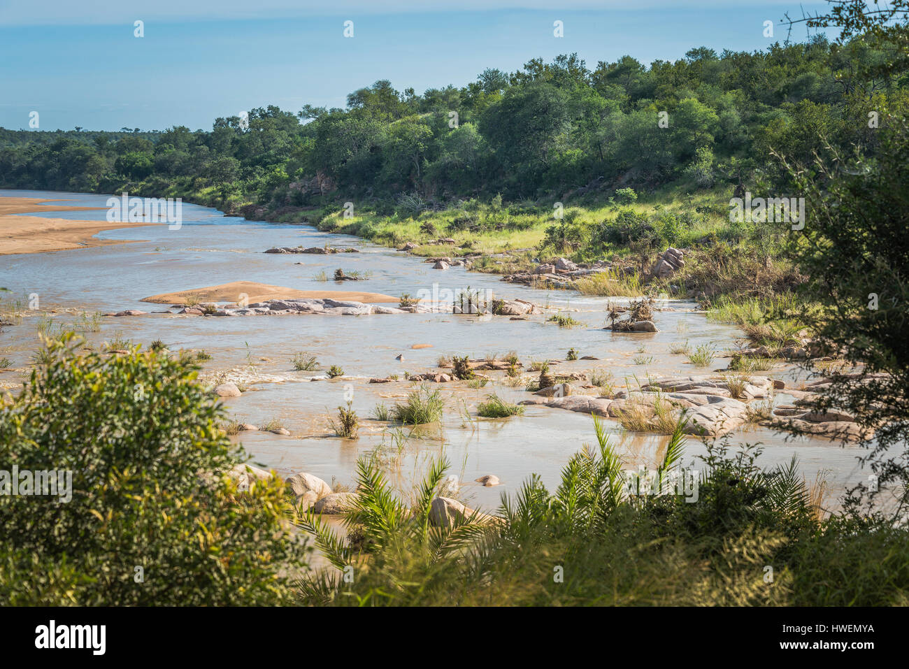 Il fiume di elefanti nel parco nazionale Kruger sud africa Foto Stock