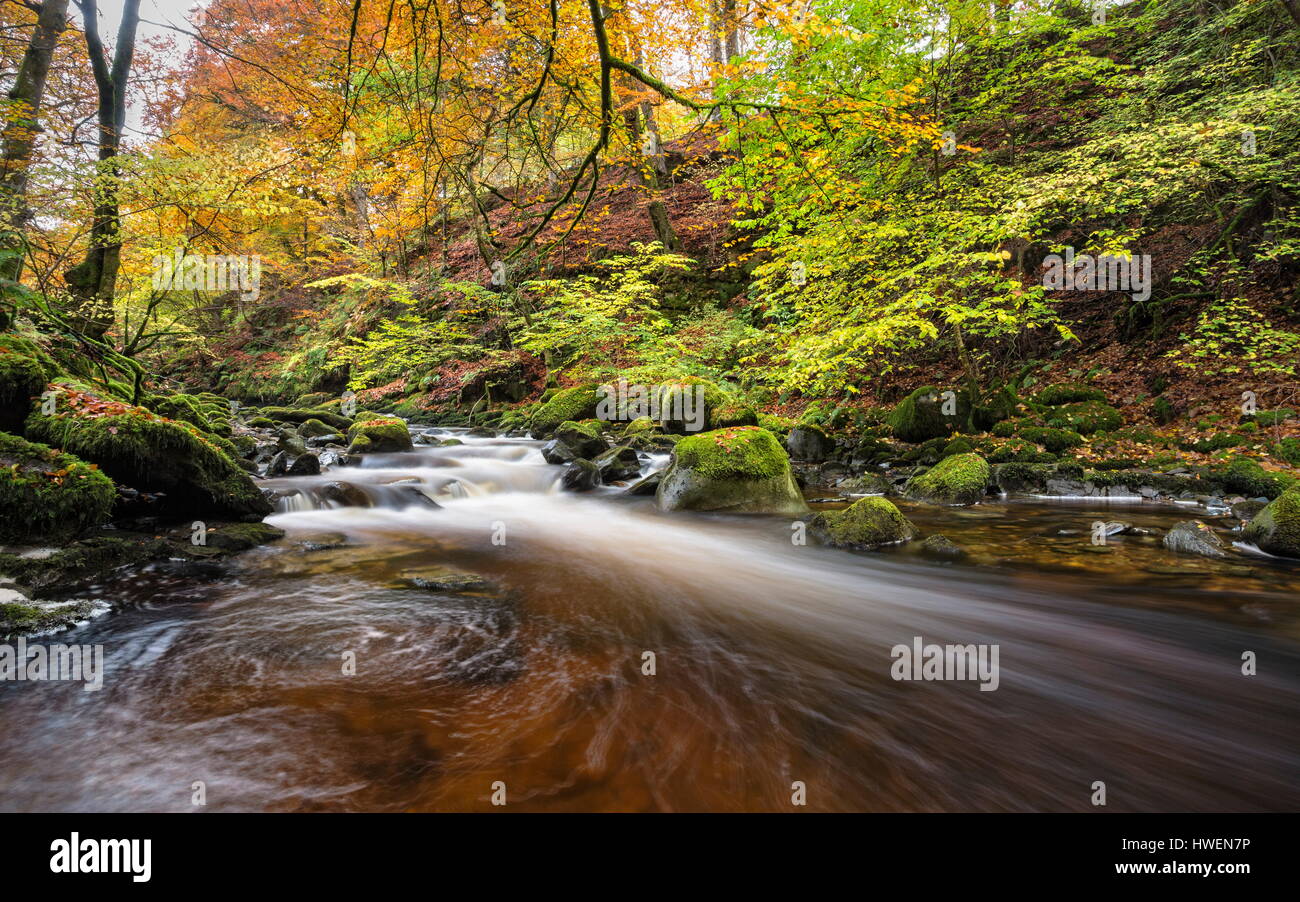 Moness masterizzare, Birks o' Aberfeldy, Perthshire Scozia Scotland Foto Stock