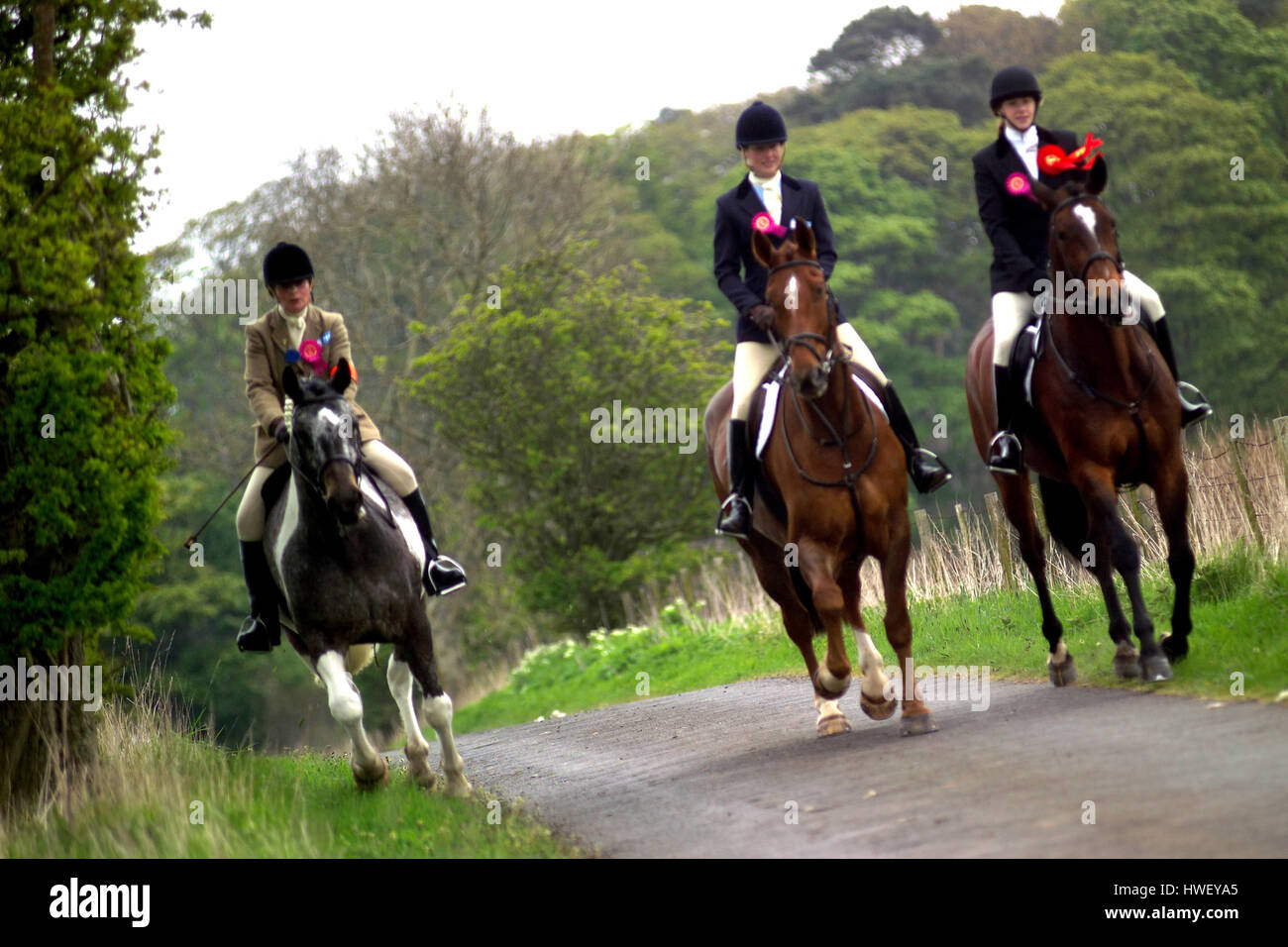 A cavallo dei confini, Berwick-upon-Tweed Foto Stock