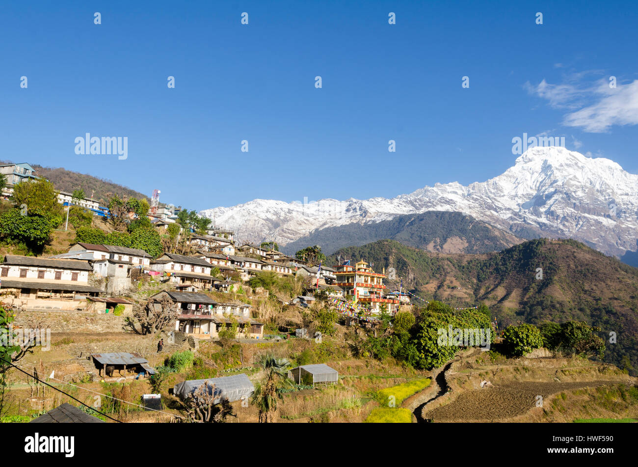 Foto dal viaggio intorno allo splendido villaggio di Ghandruk del Nepal vicino a Pokhara. Questo villaggio è un tradizionale villaggio Gurung. Foto Stock