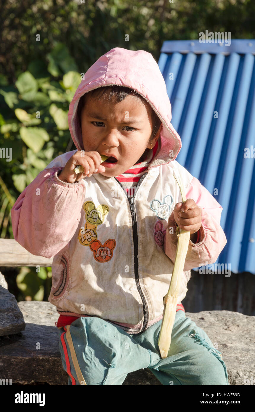 Ritratto di bambini da Ghandruk villaggio del Nepal Foto Stock