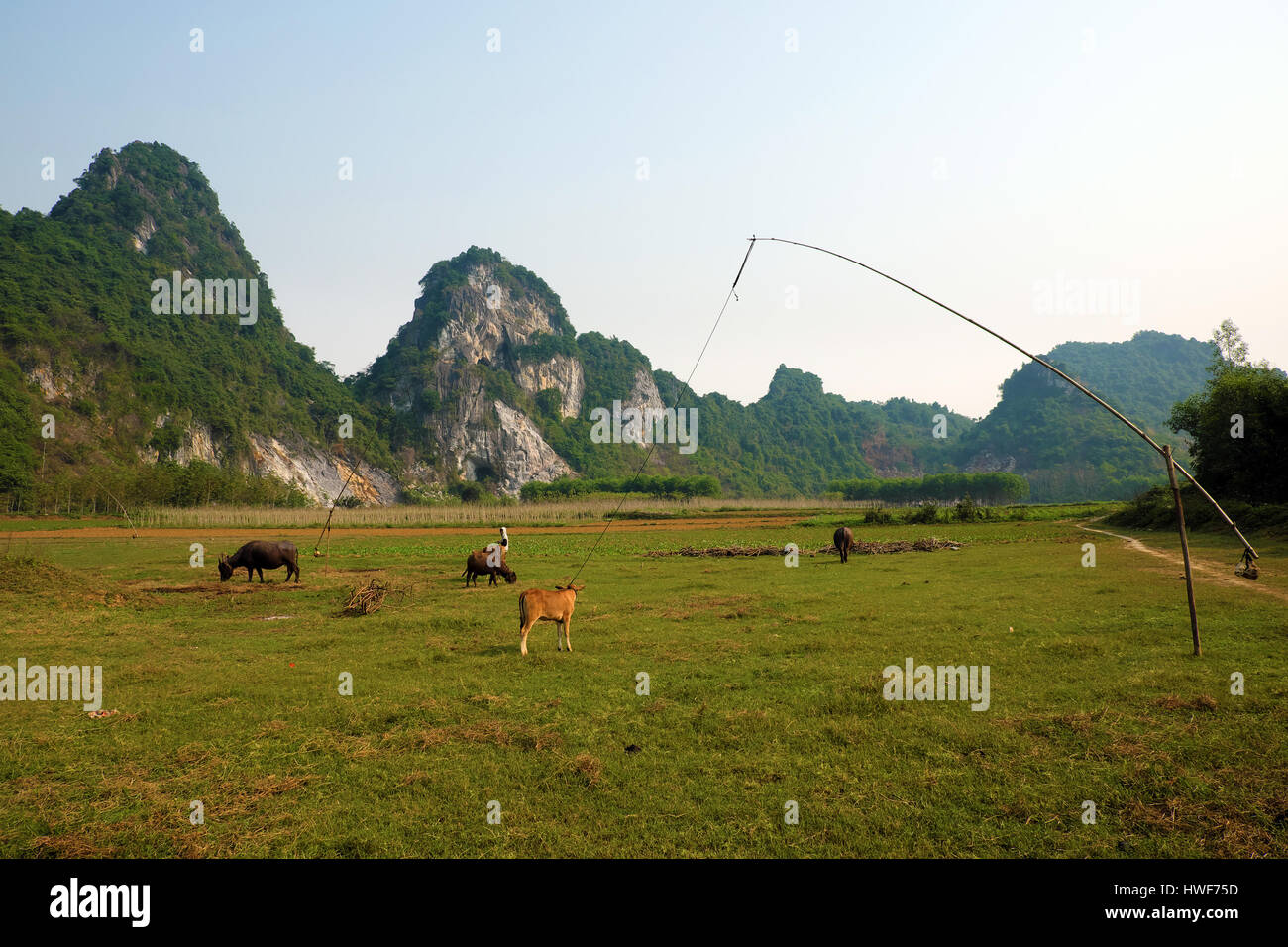 La bellissima campagna di Quang Binh, Viet Nam, verde agricoltura campo, catena montuosa, aria fresca, eco green rendono bella destinazione per il Vietnam travel Foto Stock