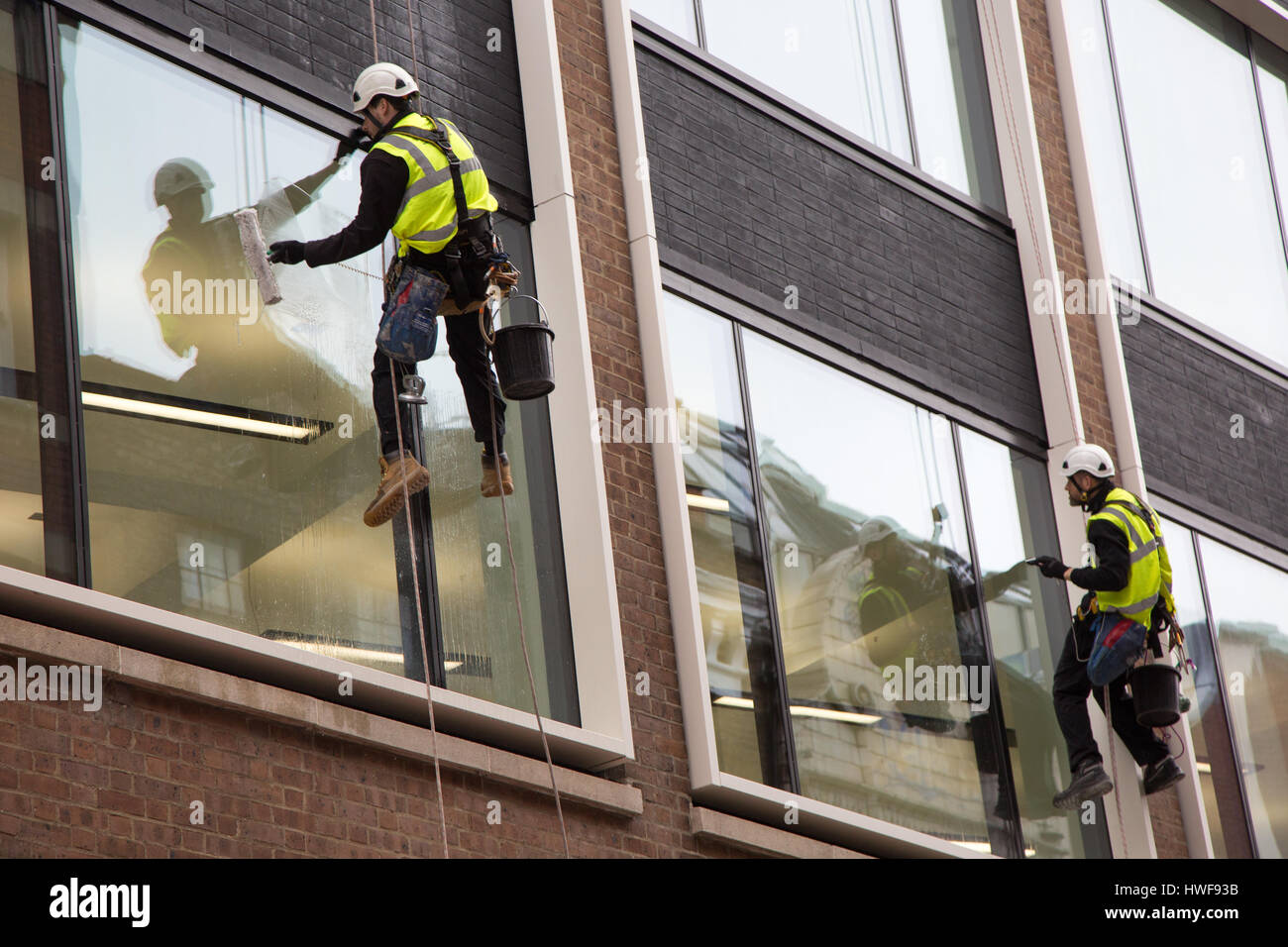 Due detergenti per finestre a lavorare durante la discesa in corda doppia giù un nuovo blocco uffici a Londra Foto Stock