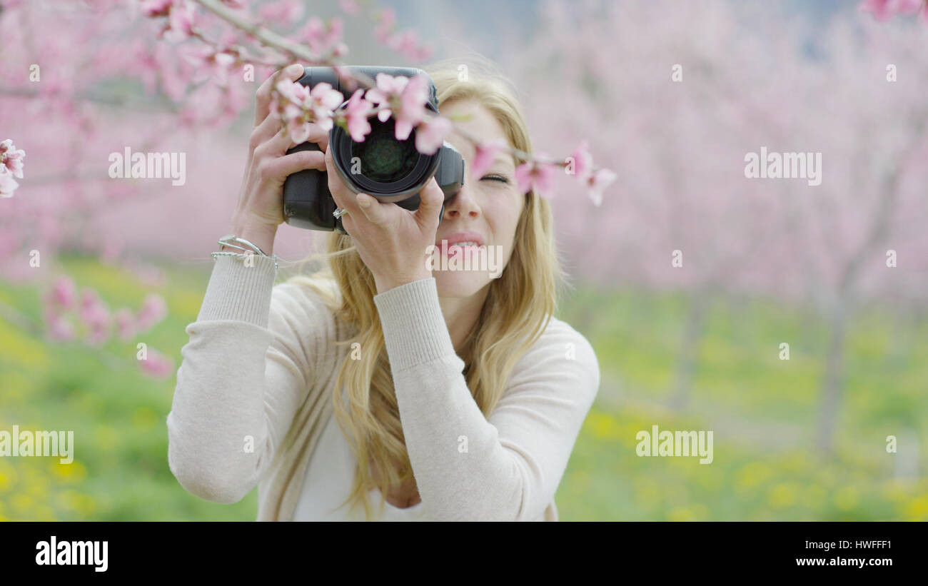 Basso angolo di visione del fotografo di scattare una foto della fioritura ramo di albero in posizione di parcheggio Foto Stock