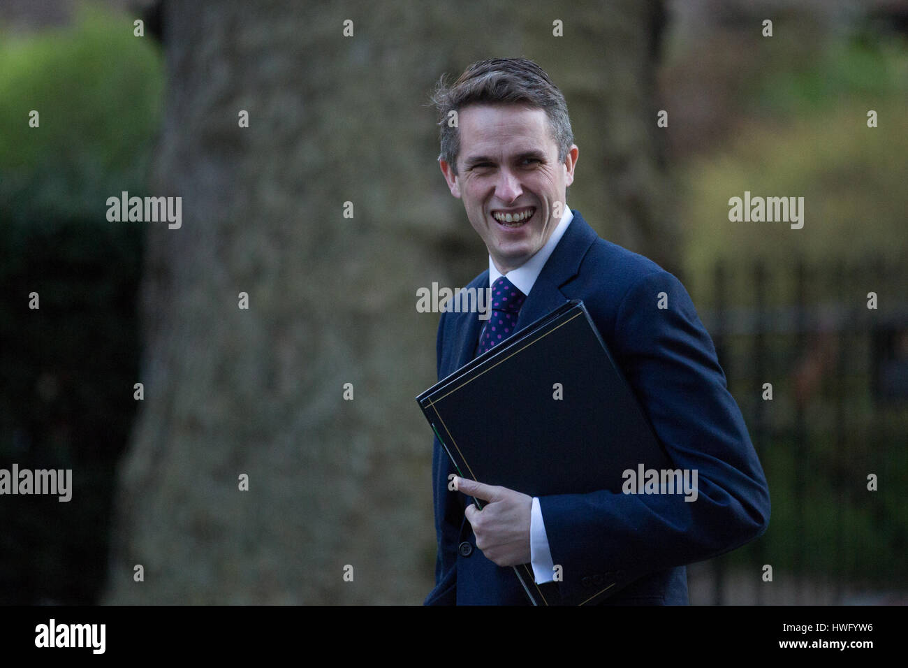 Londra, Regno Unito. Xxi Mar, 2017. Gavin Williamson MP, Chief Whip, arriva al 10 di Downing Street per una riunione del gabinetto. Credito: Mark Kerrison/Alamy Live News Foto Stock