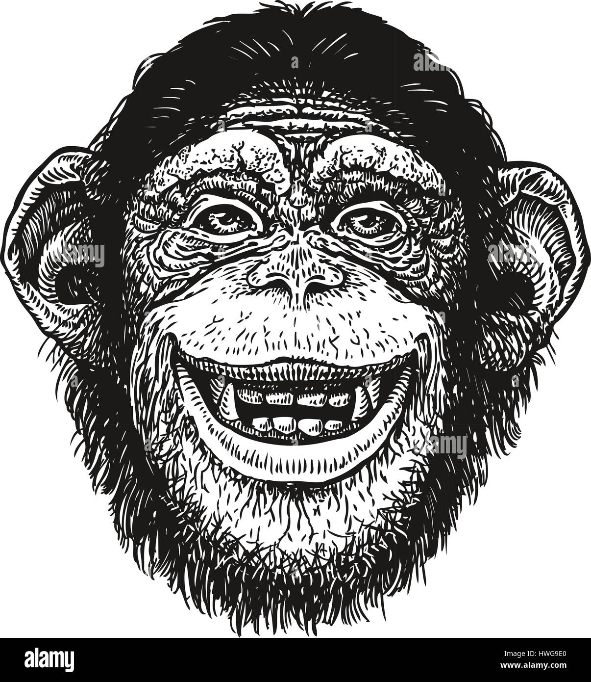 Disegnata a mano ritratto di scimpanzé. Funny monkey, uomo di Neanderthal. Schizzo illustrazione vettoriale Illustrazione Vettoriale