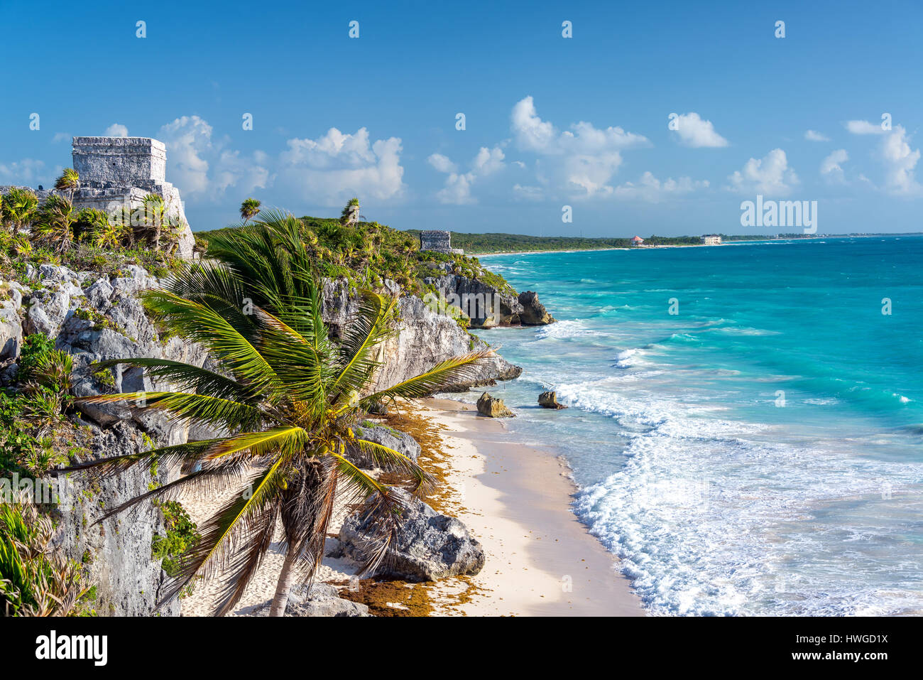 Le rovine di Tulum in Messico e un albero di palme che si affaccia sul Mare dei Caraibi in Riviera Maya Foto Stock