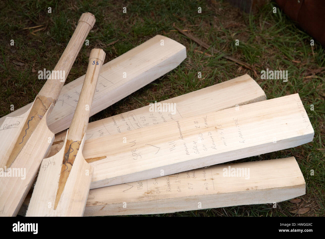 Cricket bat fustellati Foto Stock