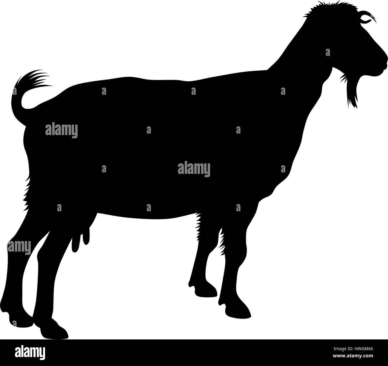 Dettagliata illustrazione vettoriale di silhouette di capra Illustrazione Vettoriale