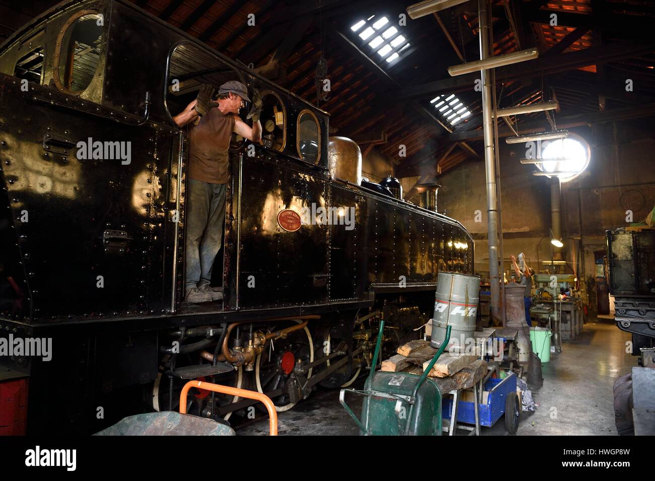 Francia, Alpes Maritimes, Puget theniers, il Train des Pignes, motore di vapore in fase di riscaldamento nell'officina di manutenzione presso la potenza motrice depot Foto Stock