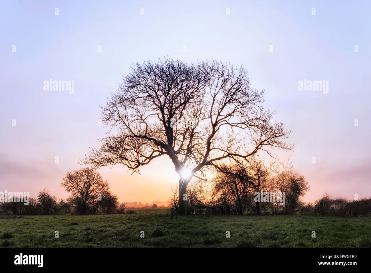 Eyebridge, Fiume Stour, Wimborne Minster, Dorset, England, Regno Unito Foto Stock