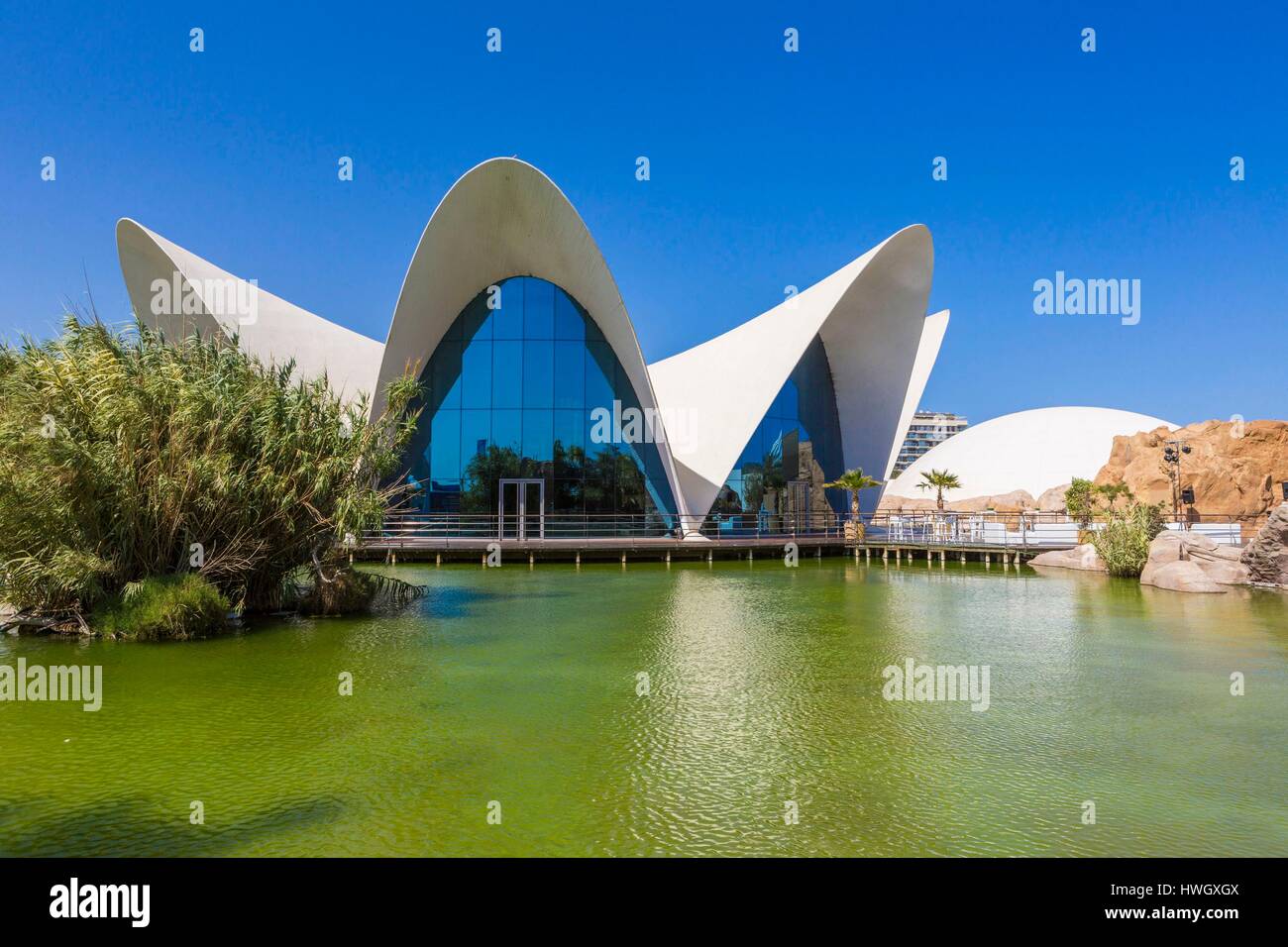 Spagna, Valencia, Città delle Scienze e delle arti, oceanografo, il più grande parco oceanografico in Europa Foto Stock