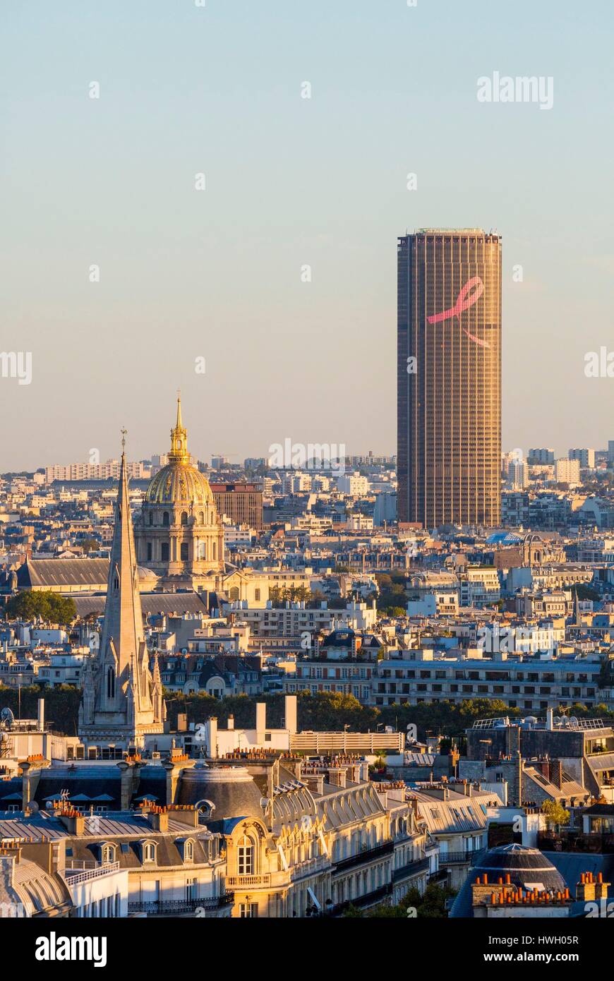 Francia, Parigi, vista generale con la Tour Montparnasse e Invalides Foto Stock