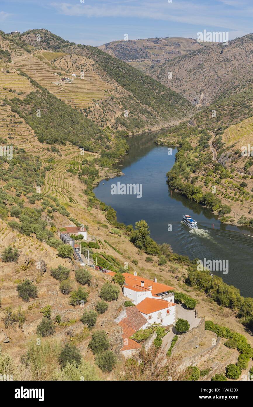 Il Portogallo, Sao Joao da Pesqueira, superiore alla Valle del Douro e i suoi vigneti elencati come Patrimonio Mondiale dell'UNESCO, frazioni della diga di Valeira, crociera sul fiume Douro con una vista di una azienda vinicola (quinta) Foto Stock