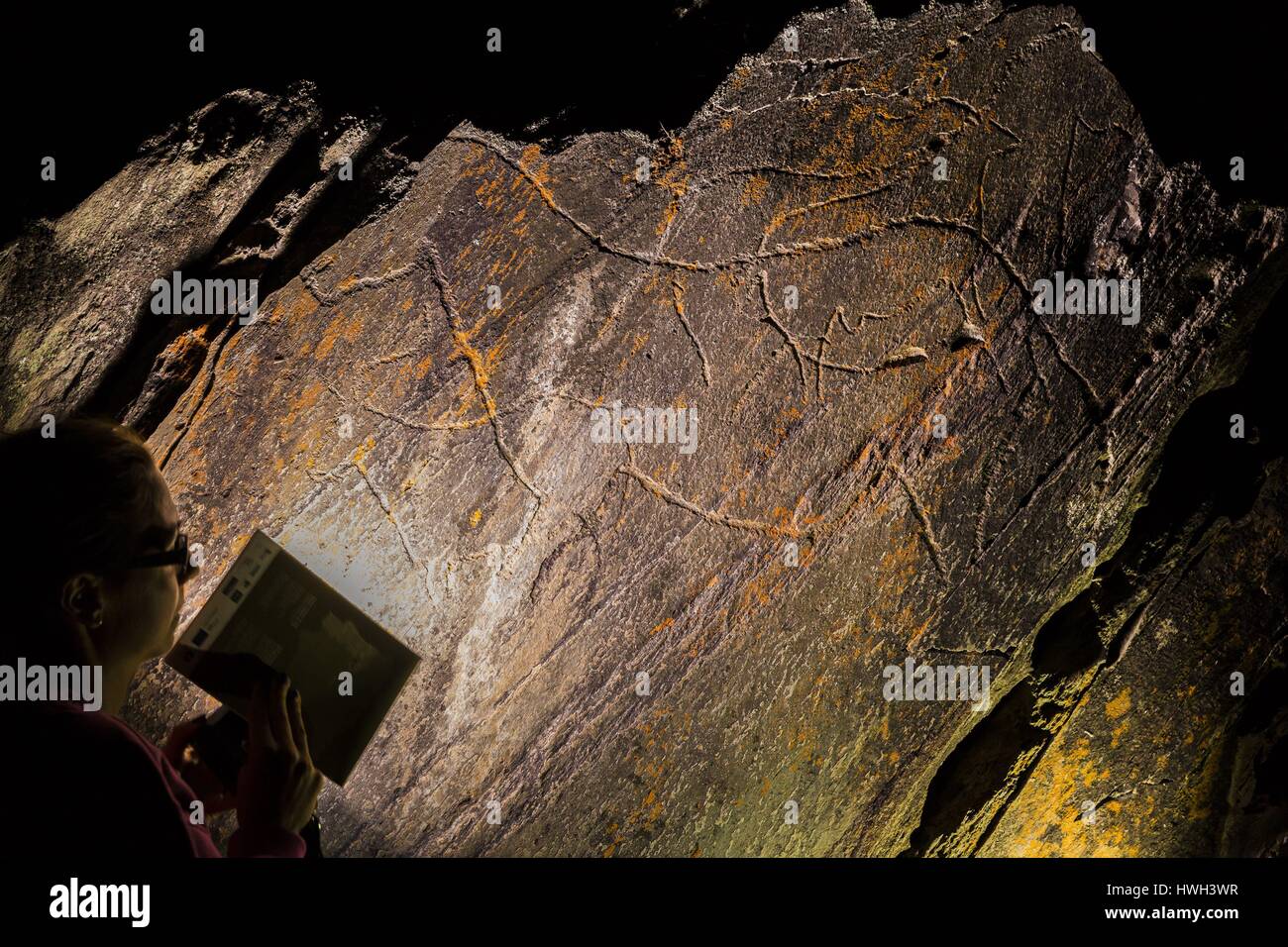 Il Portogallo, Regione settentrionale del distretto di Guarda, Douro, valle del Douro, Vila Nova de Foz Coa, notte visita guidata del parco archeologico della valle del COA, elencati come patrimonio mondiale dall' UNESCO, incisioni rupestri del Paleolitico superiore Foto Stock