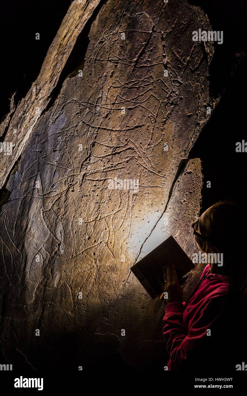 Il Portogallo, Regione settentrionale del distretto di Guarda, Douro, valle del Douro, Vila Nova de Foz Coa, notte visita guidata del parco archeologico della valle del COA, elencati come patrimonio mondiale dall' UNESCO, incisioni rupestri del Paleolitico superiore Foto Stock