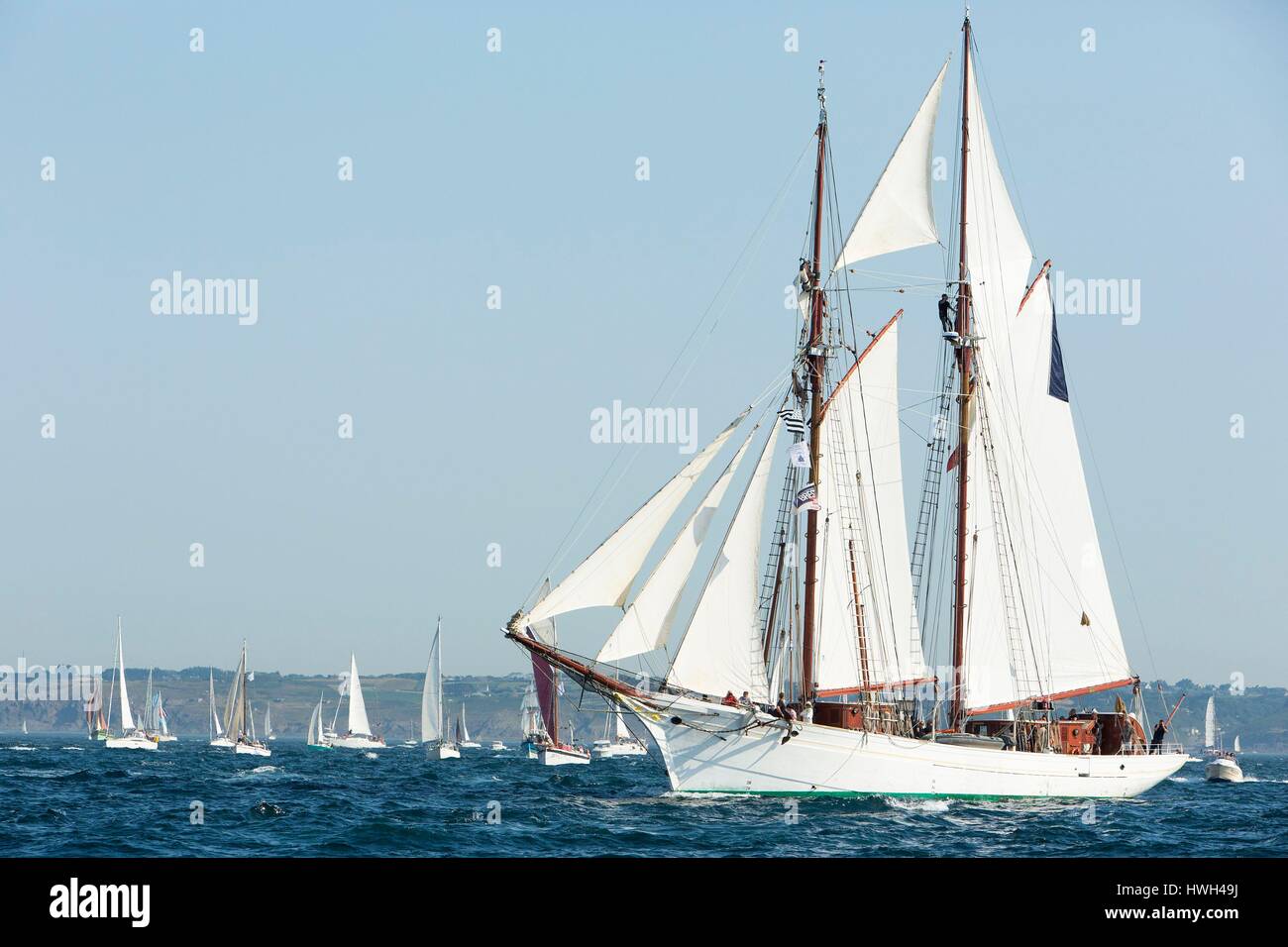 Francia, Finisterre, Brest, Fetes maritimes internationales de Brest 2016 (International Maritime festa Brest 2016), il grande raduno di vela e yachting e di marinai e di gente di mare, Irene, ex british ketch e la flottiglia di barche a vela durante la Grande Traversee (il grande incrocio) tra Brest e Douarnenez Foto Stock