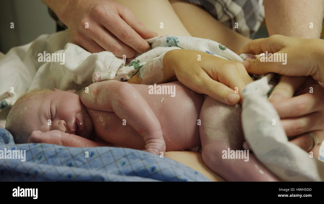 Close up le mani dei genitori la pulizia neonato in ospedale Foto Stock