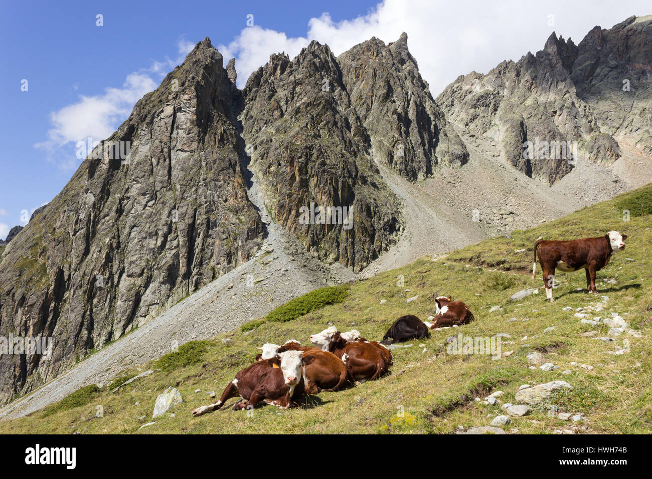 Valpelline Valle D aosta Immagini E Fotografie Stock Ad Alta valpelline-valle-d-aosta-immagini-e-fotografie-stock-ad-alta