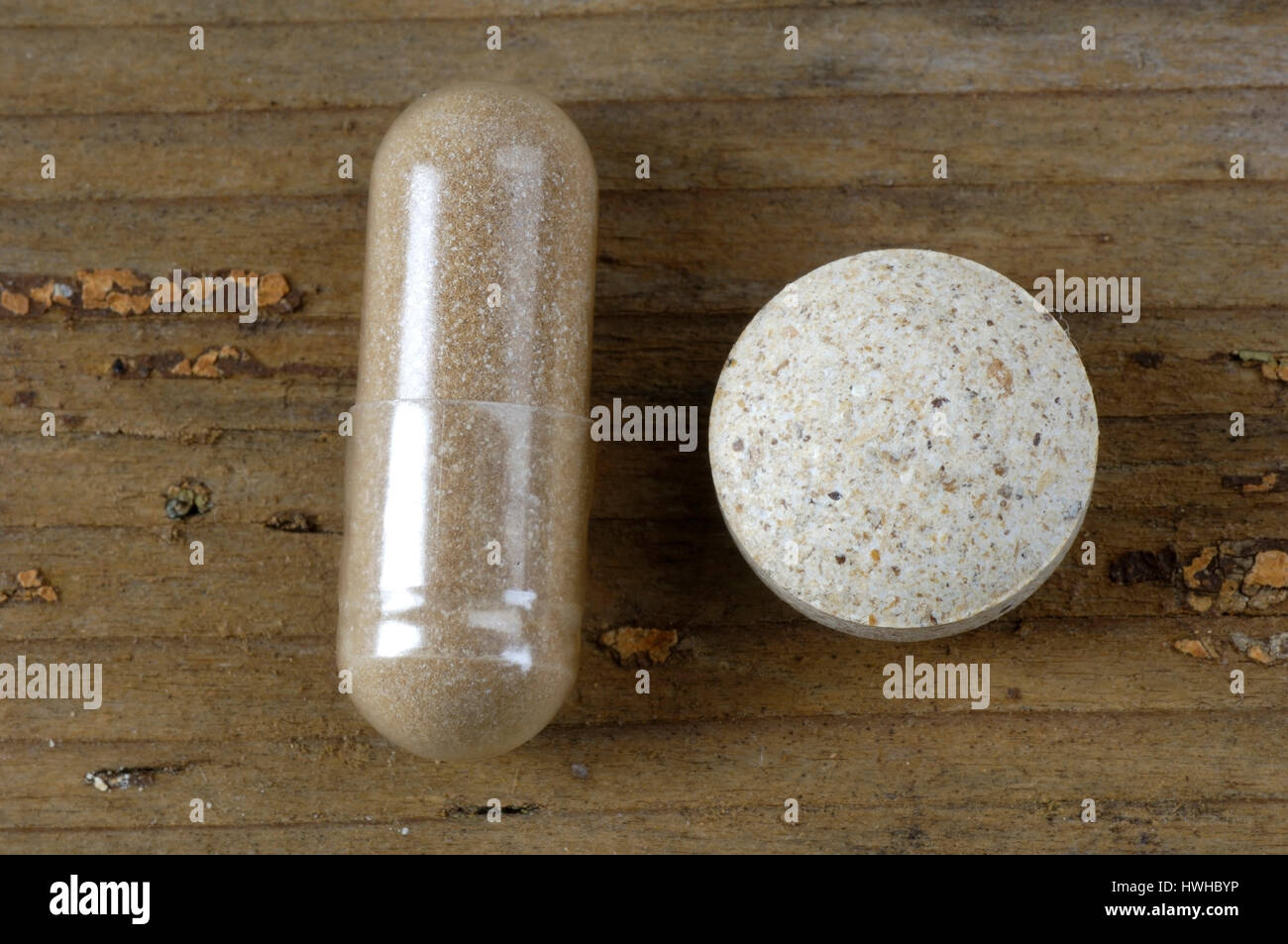 Funghi Shiitake. polvere in una pillola, omeopatia, Lentinus edodes, Funghi Shitake, la polvere in una capsula, Lentinus edodes funghi alimentari, Shiitakepi Foto Stock