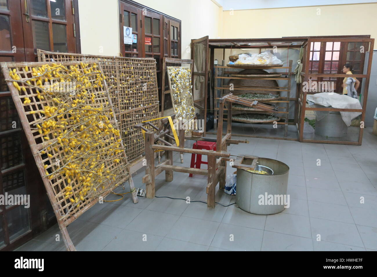 Presso la fabbrica di seta in Hoi An city in Vietnam. essi sollevano un worm che fanno di bozzoli. Da loro si fanno le stringhe per Nizza e qualità leggermente. Foto Stock