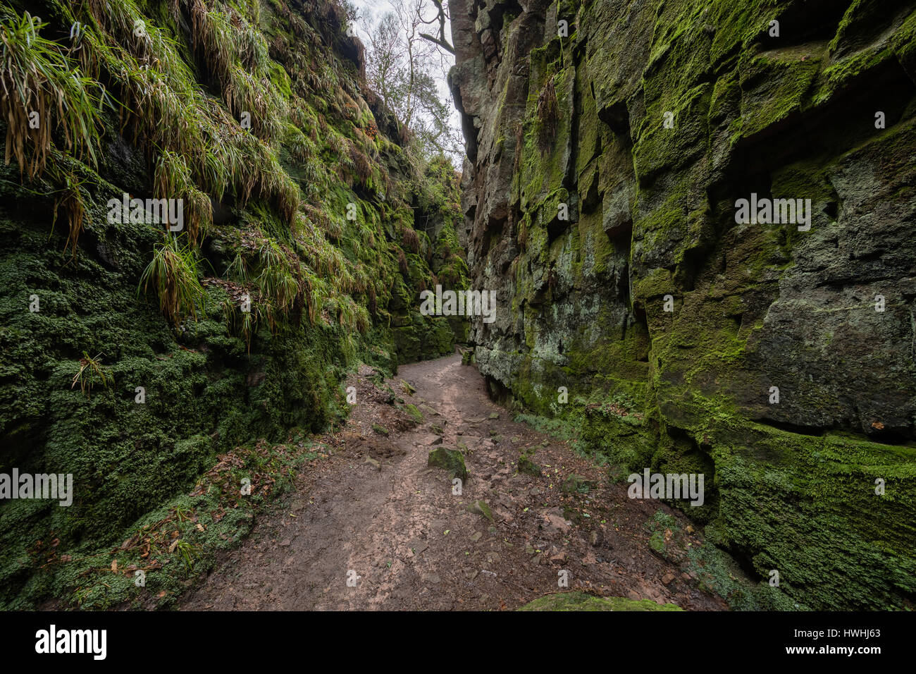 Lud la Chiesa è una stretta gola del rift in graniglia di macina sopra la valle di Dane vicino Gradbach Staffordshire REGNO UNITO Foto Stock