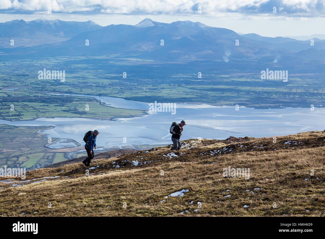 Il trekking sul Slieve Mish montagne sulla penisola di Dingle guardando verso Castlemaine Harbour e il MacGillycuddy Reeks, nella contea di Kerry, Irlanda Foto Stock