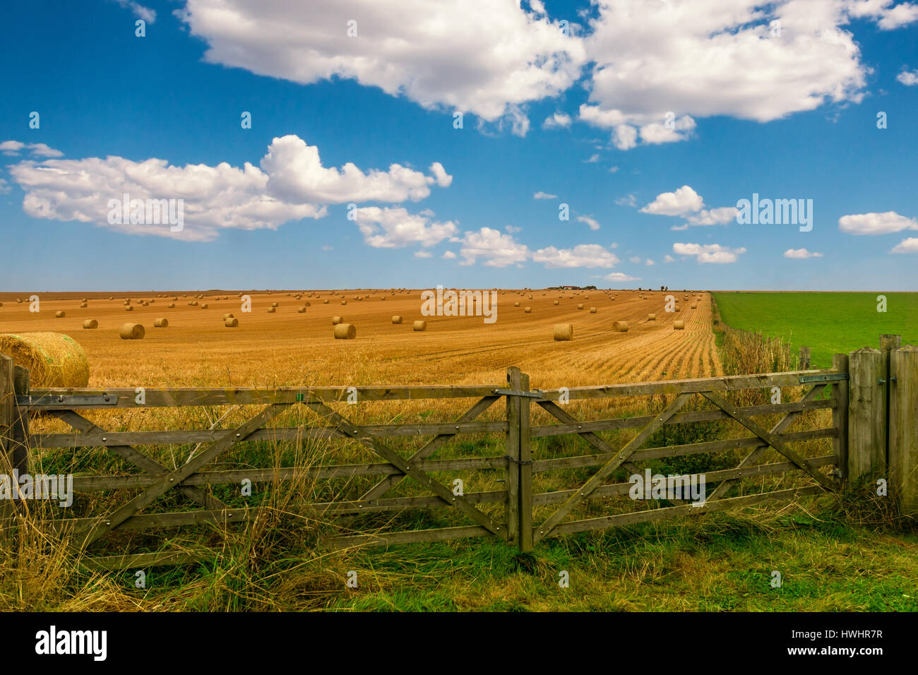 Colorato di giallo e verde prato con balle di fieno e di un bel blu cielo nuvoloso. Un cancello di legno si erge chiusa prima che il campo di fieno. Foto Stock