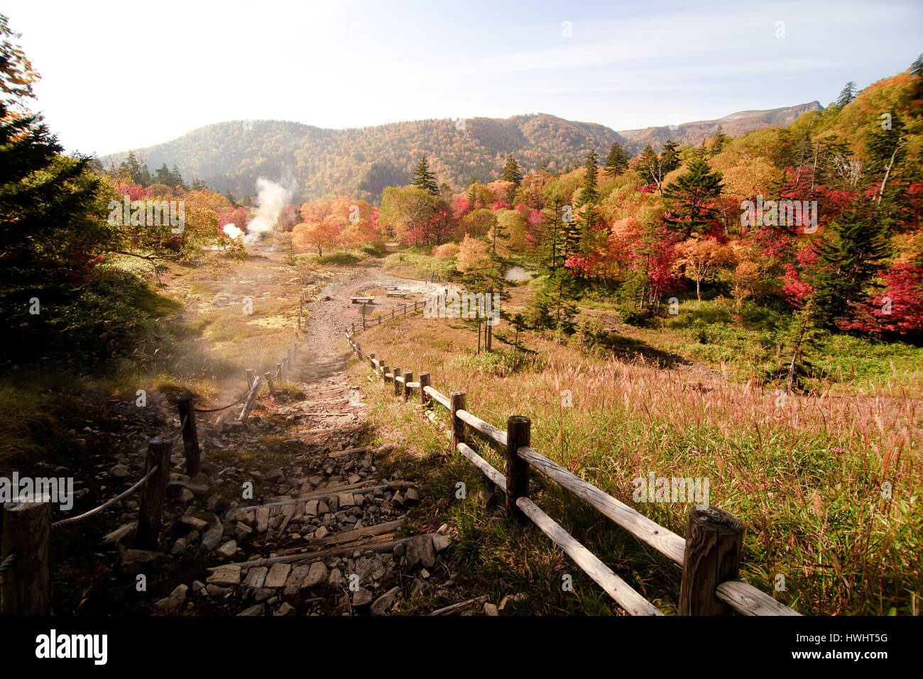 Giappone foglie rosse valley Foto Stock