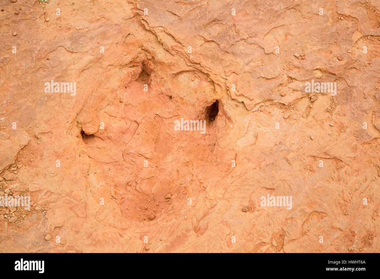 Allosaurus le vie, rame Ridge Sauropod tracce di dinosauri, Grand County, Utah Foto Stock