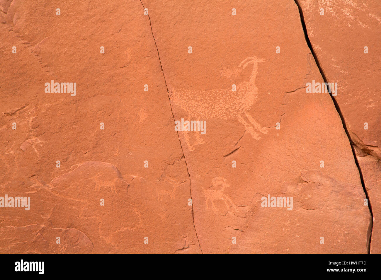 Incisioni rupestri a Utah Highway 279 Rock Art Site, Potash-Lower Colorado River Scenic Byway, Grand County, Utah Foto Stock