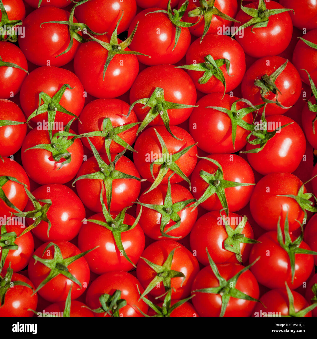 Pomodori rossi sfondo. Gruppo di pomodori. di passata di pomodoro Foto Stock
