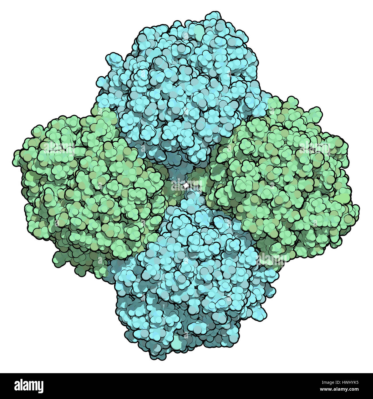 Enzima neuraminidasi. Struttura di H5N1 dell'influenza aviaria neuroamminidasi. Gli atomi sono rappresentati come codificati a colori sfere. Per catena di colorazione. Foto Stock