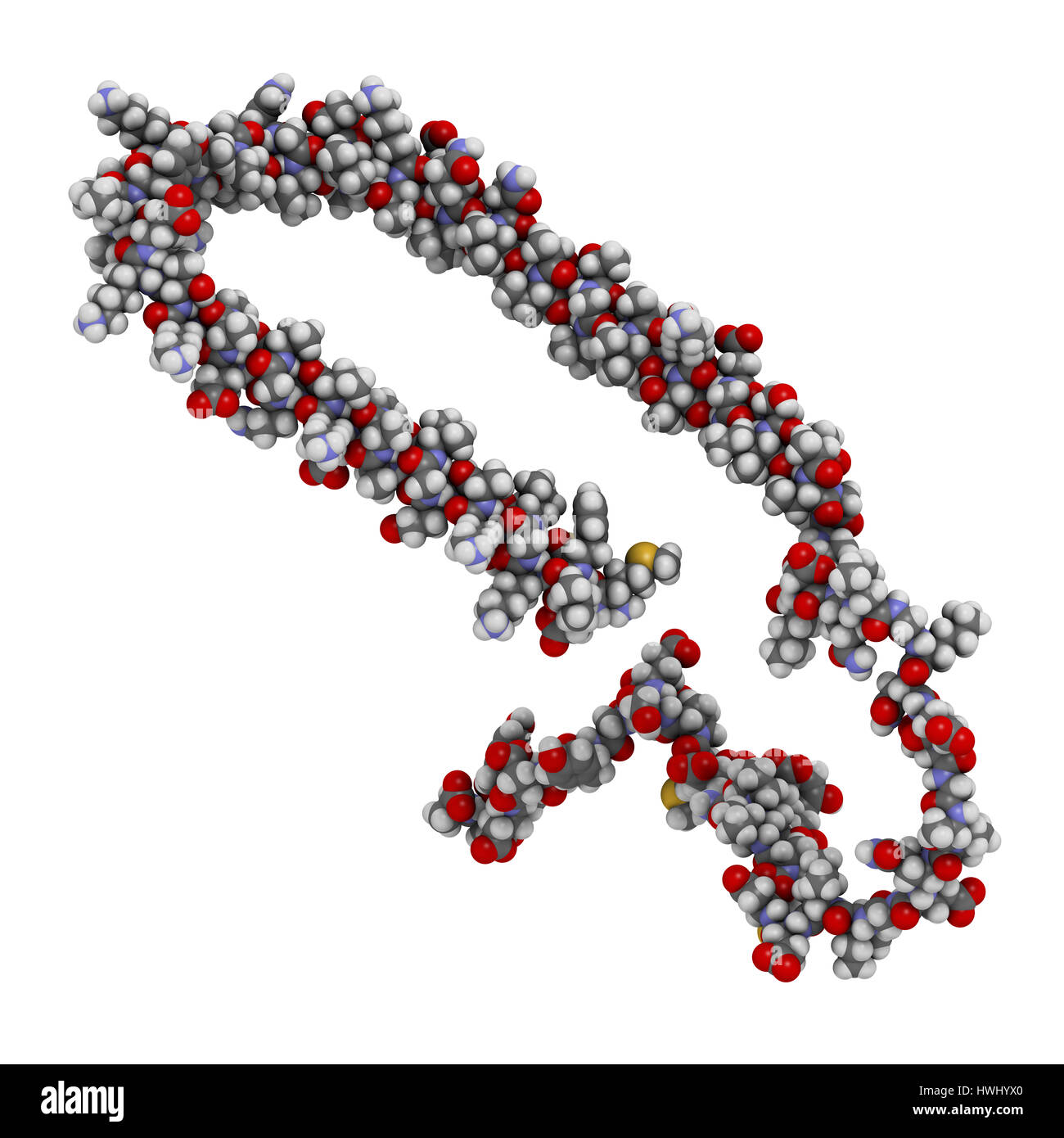 Alpha-synuclein proteina. Può svolgere il ruolo nel morbo di Parkinson e la malattia di Alzheimer. Gli atomi sono rappresentati come sfere convenzionale con codifica a colori. Foto Stock
